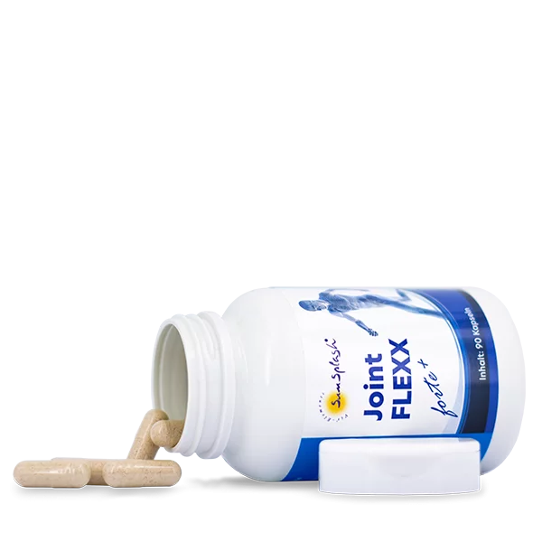 Joint FLEXX forte+ (90 caps.)